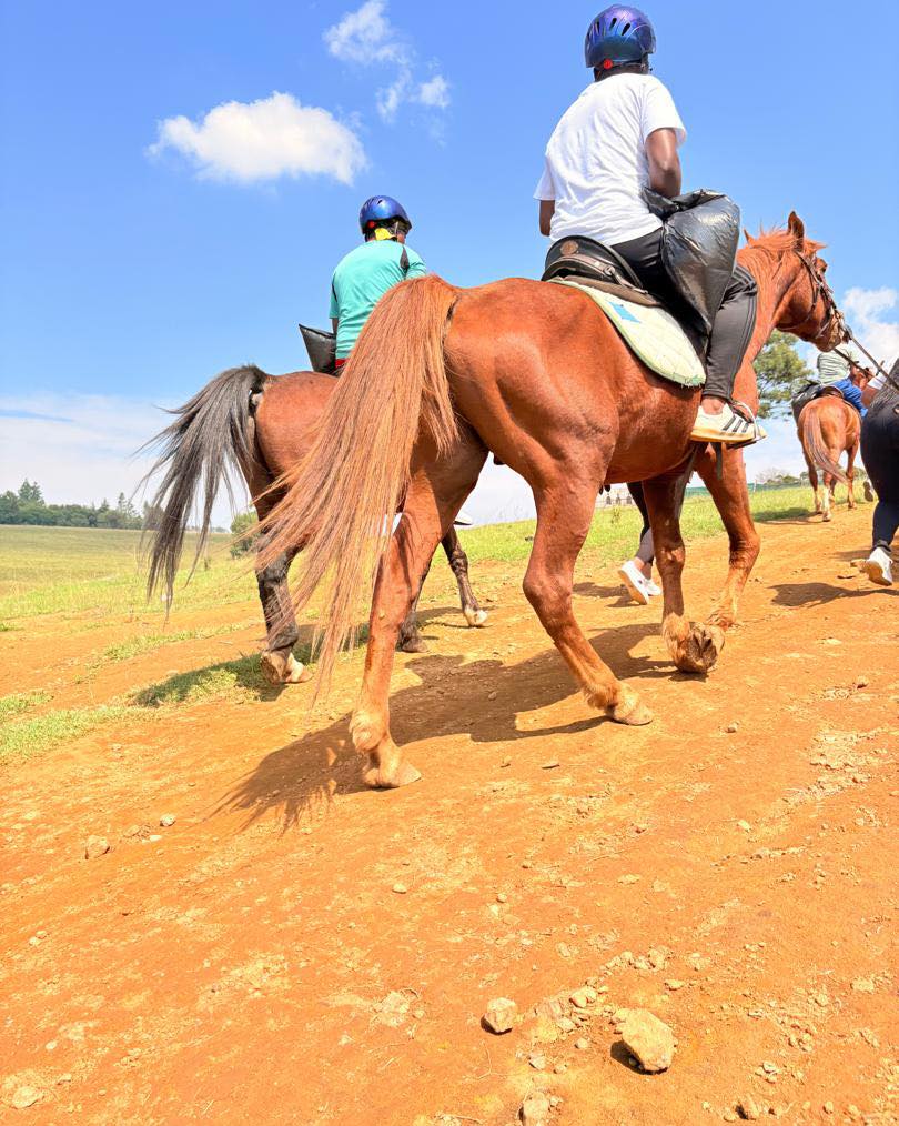 Horseback riding 3