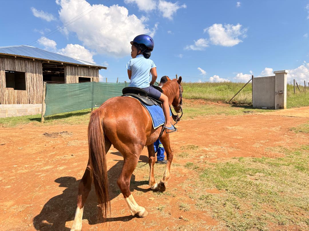 Activities at The Farm
