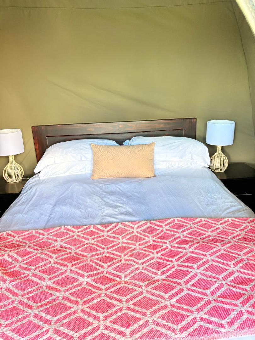 Standard chalet interior