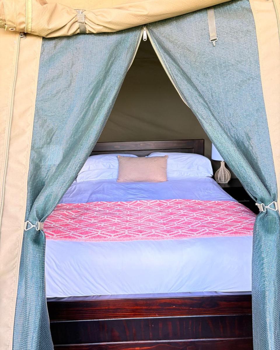 Glamping tent at The Farm